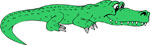 crocodile