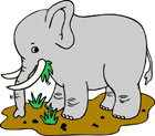 elephant