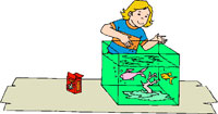 feedfish