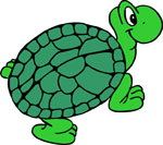 turtle