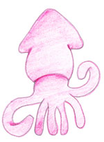 squid