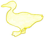 duck